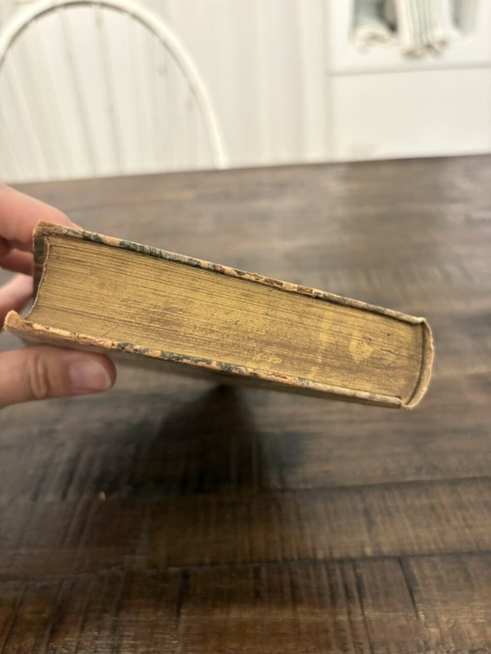 1893 Evangeline, A Tale Of Acadie by Henry Wadsworth Longfellow Rare Flower HC - Picture 7 of 16
